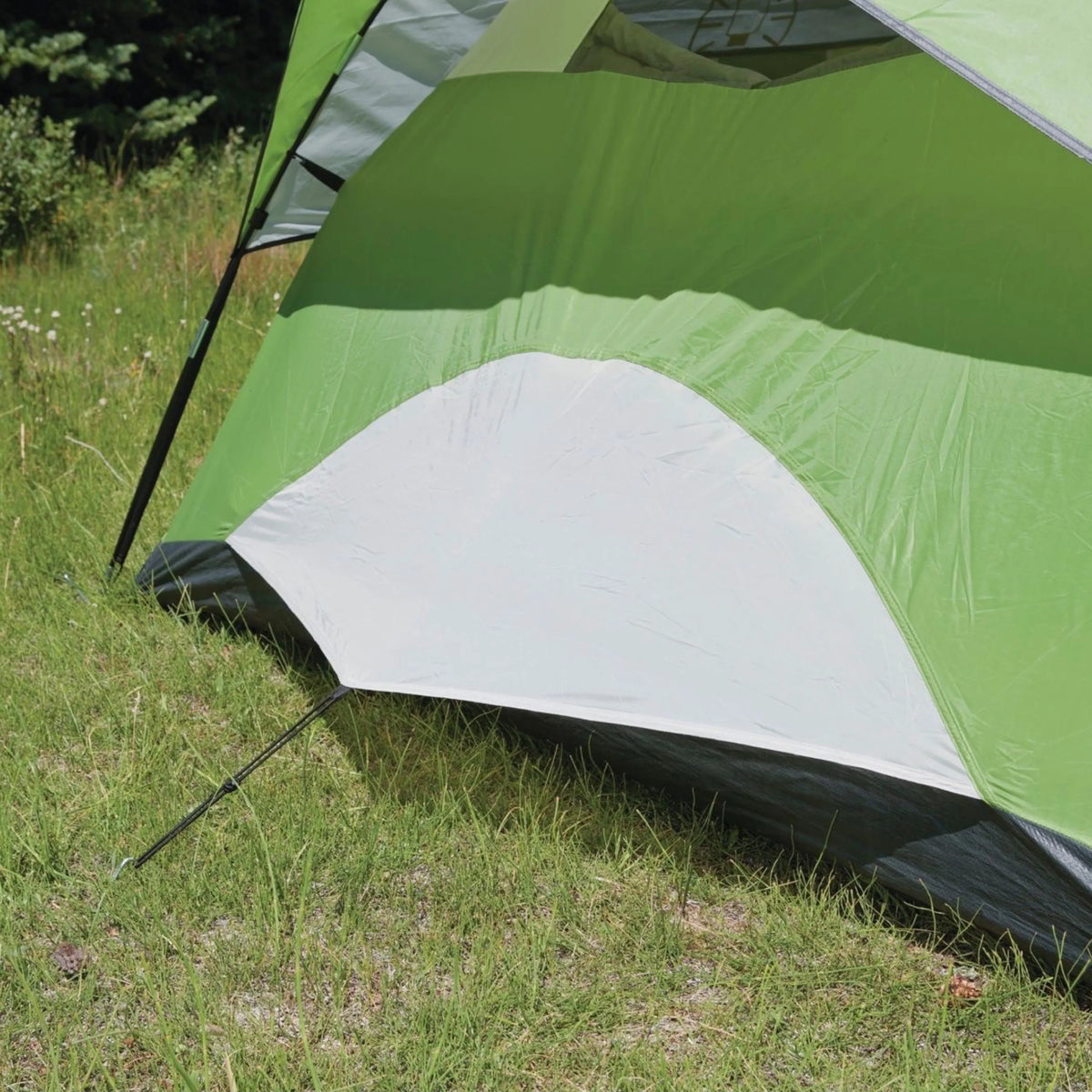 4-Person Dome Camping Tent R956