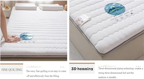White King Foldable Floor Mattress Z186926