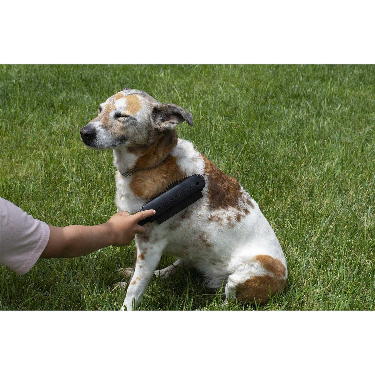 Black Rubber Pet Hair Remover Brush U91343