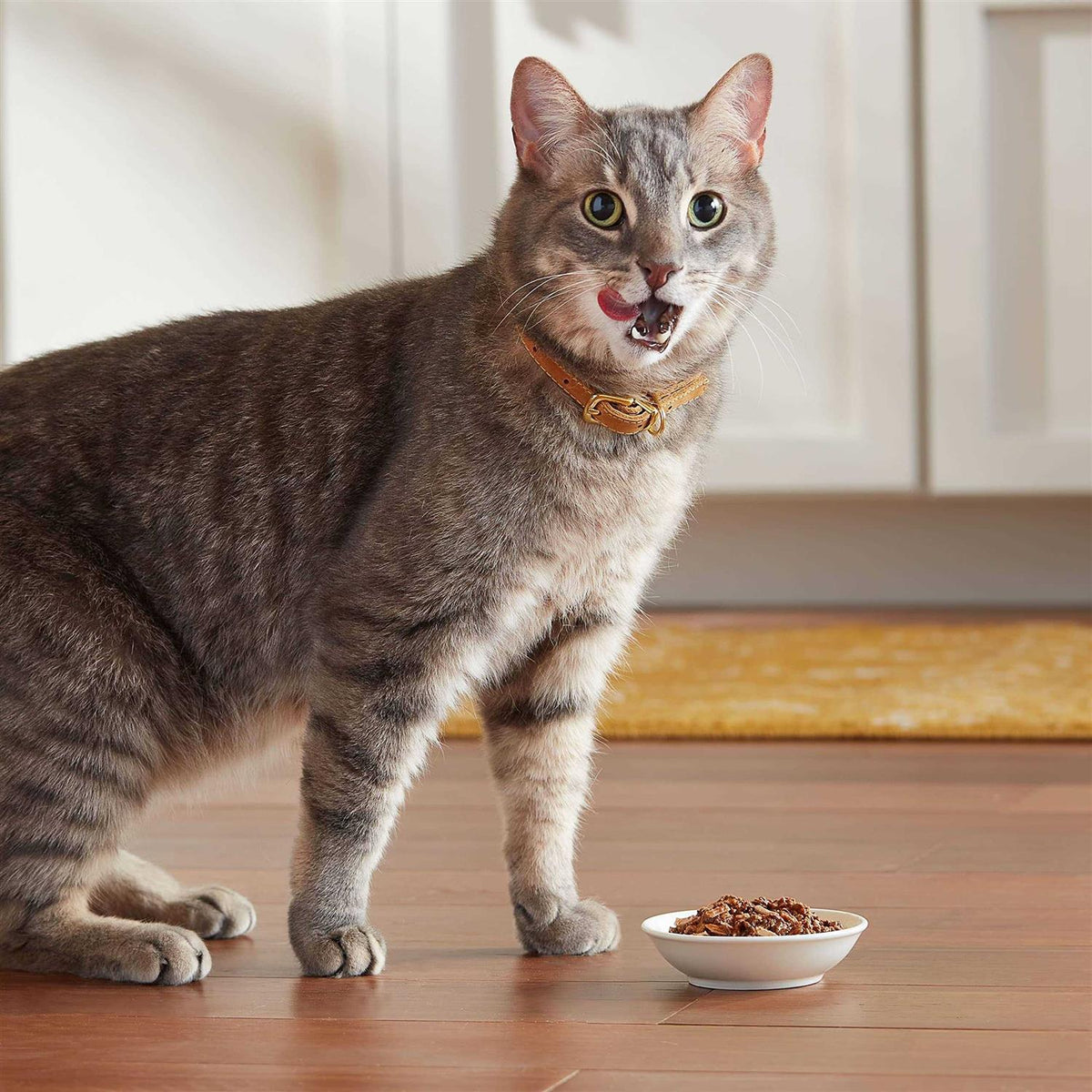 Wet Cat Food F633204