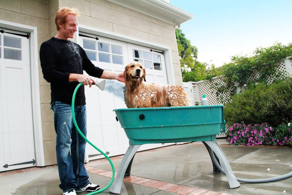 Elevated Pet Bathing Large D260624
