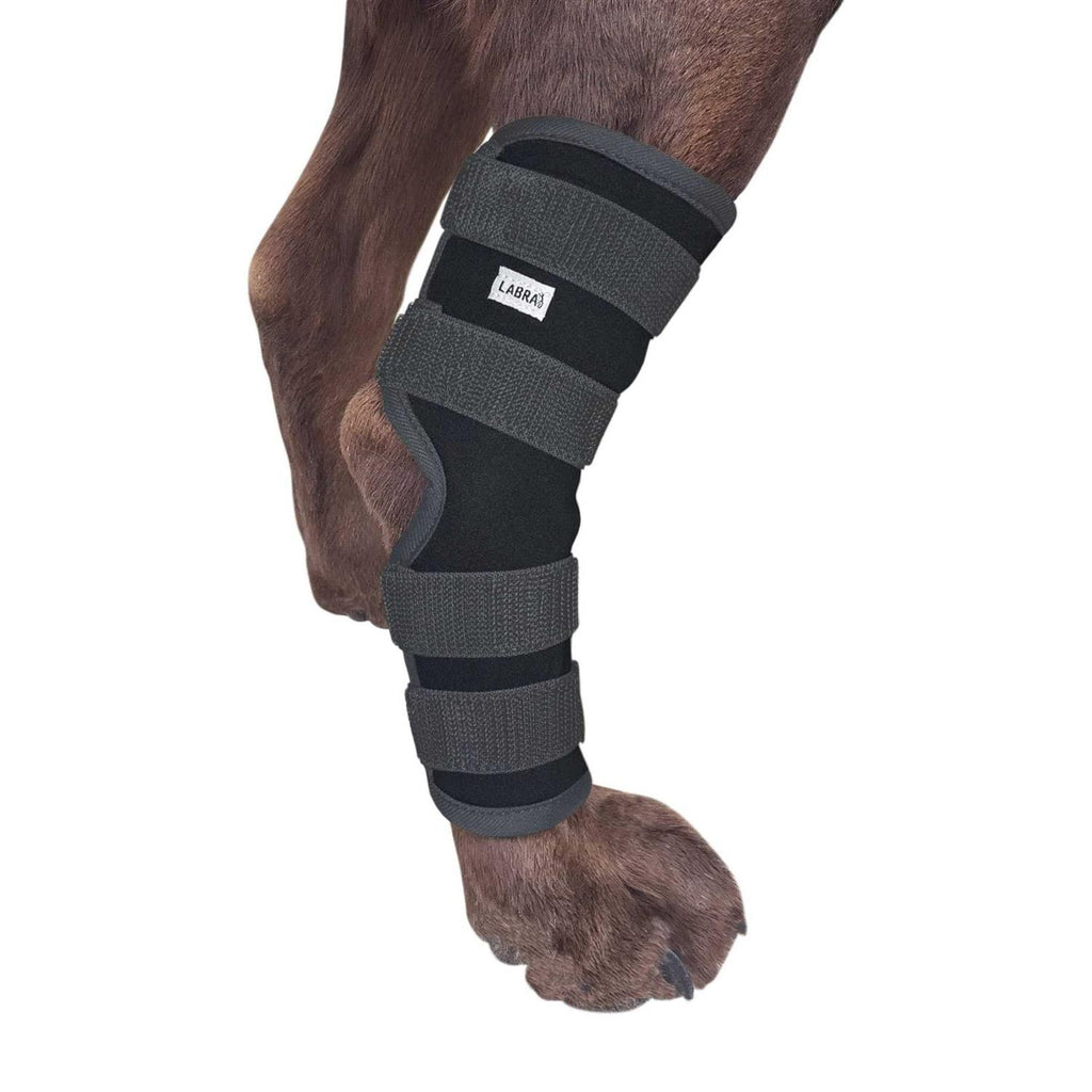 Dog Rear Leg Hock Joint Compression Wrap I27342