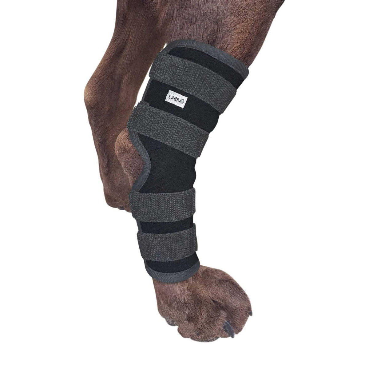 Dog Rear Leg Hock Joint Compression Wrap I27342