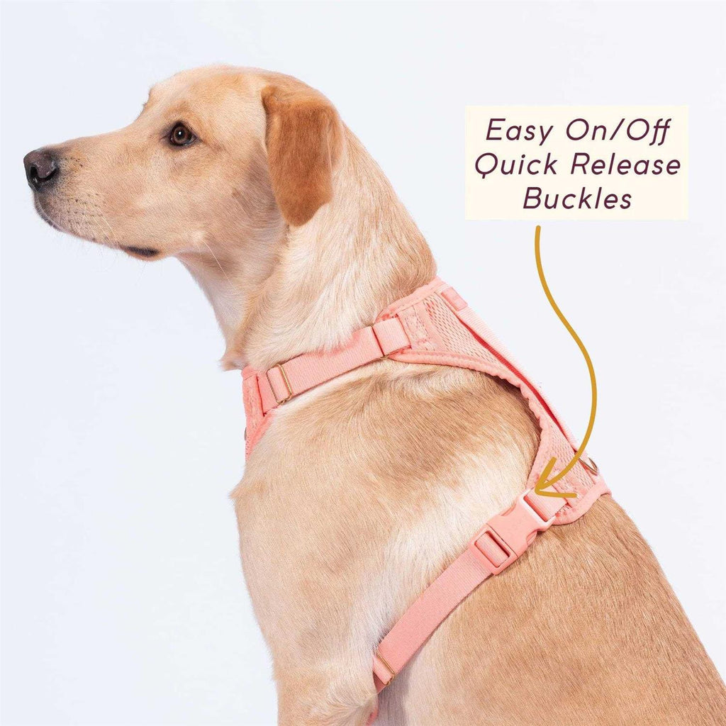 Huggie Harness J49006