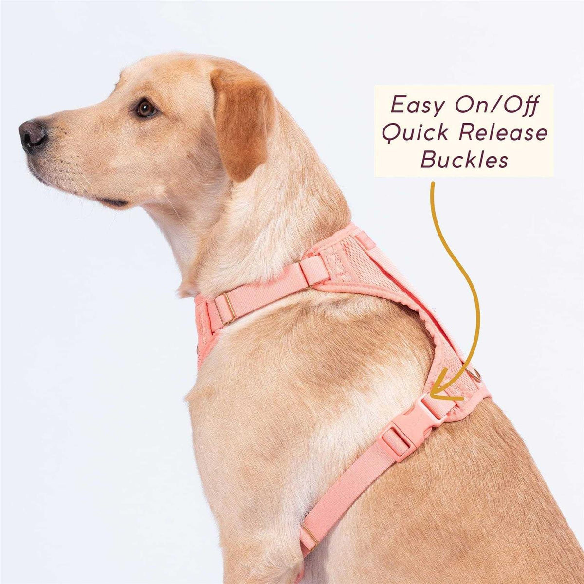 Huggie Harness J49006