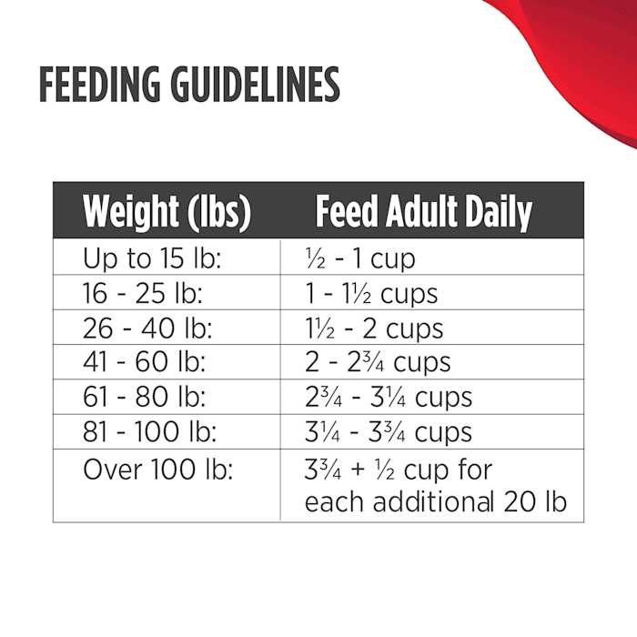 Dry Dog Food S21677