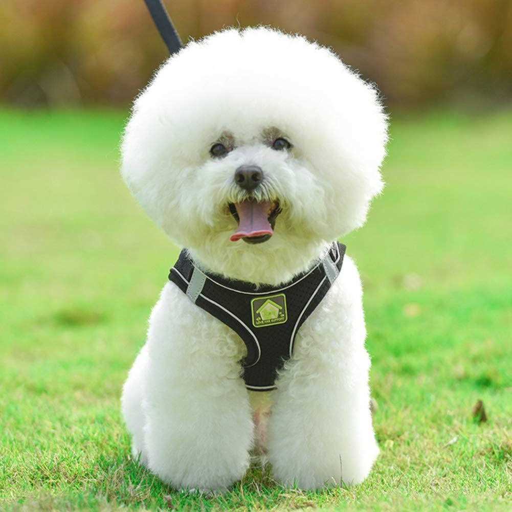 No-Pull Soft Mesh Reflective Adjustable Dog Harness and Leash Set Z189027