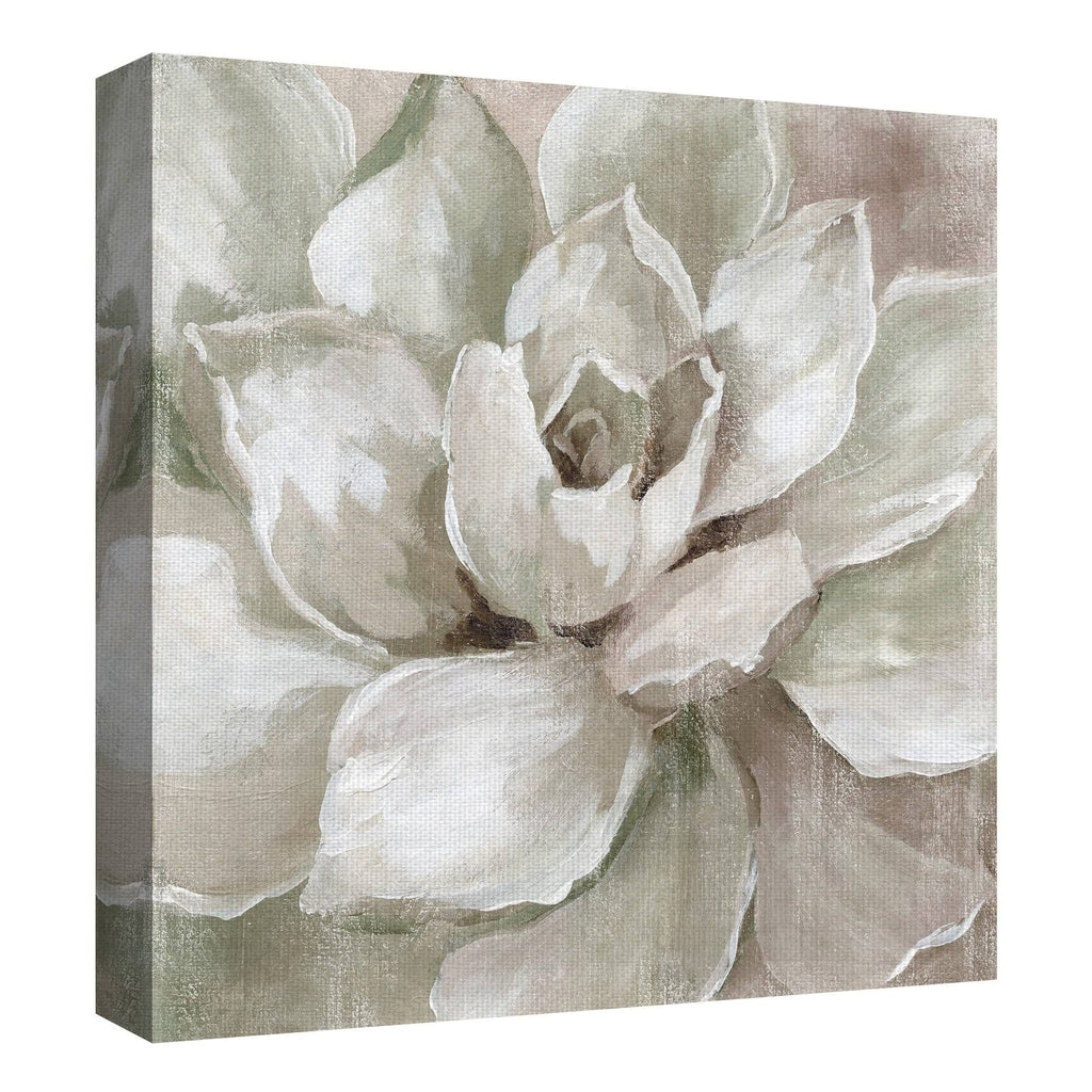 Succulent Canvas Art 30x30 Q63441