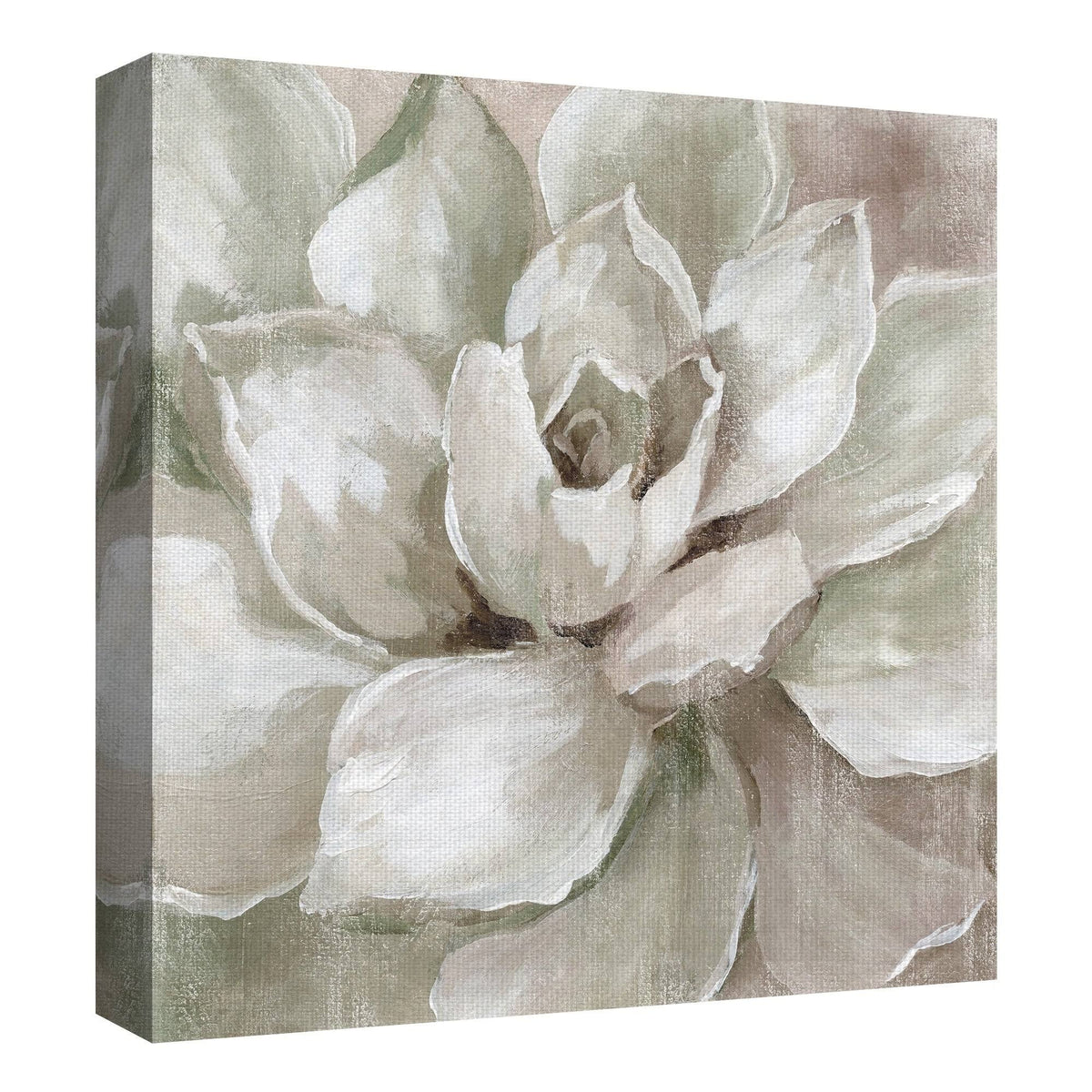 Succulent Canvas Art 30x30 Q63441