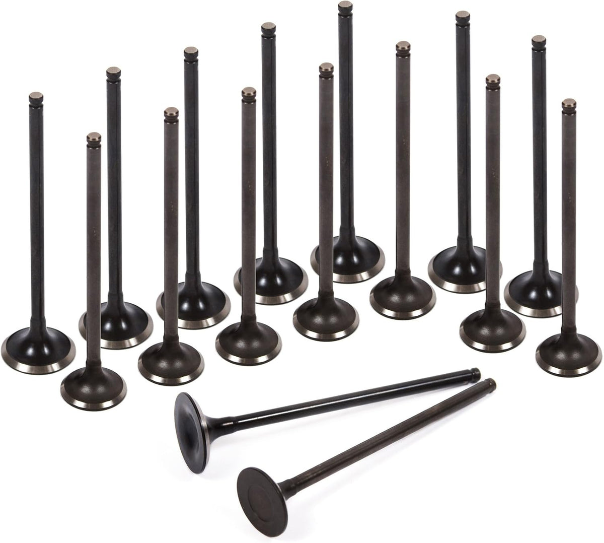 Head Gasket Set Head Bolts Intake Exhaust Valves for 92-95 Honda Civic VTEC 1.6 SOHC D16Z6 N82700