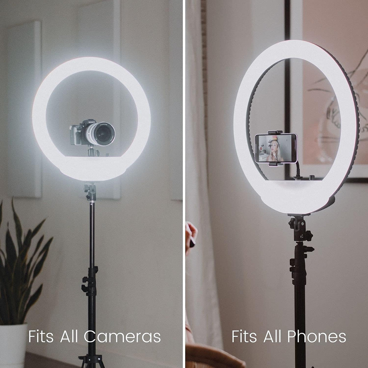 Cordless Bicolor Ring Light Kit with Carry Case and 6.5 ft Stand O646001