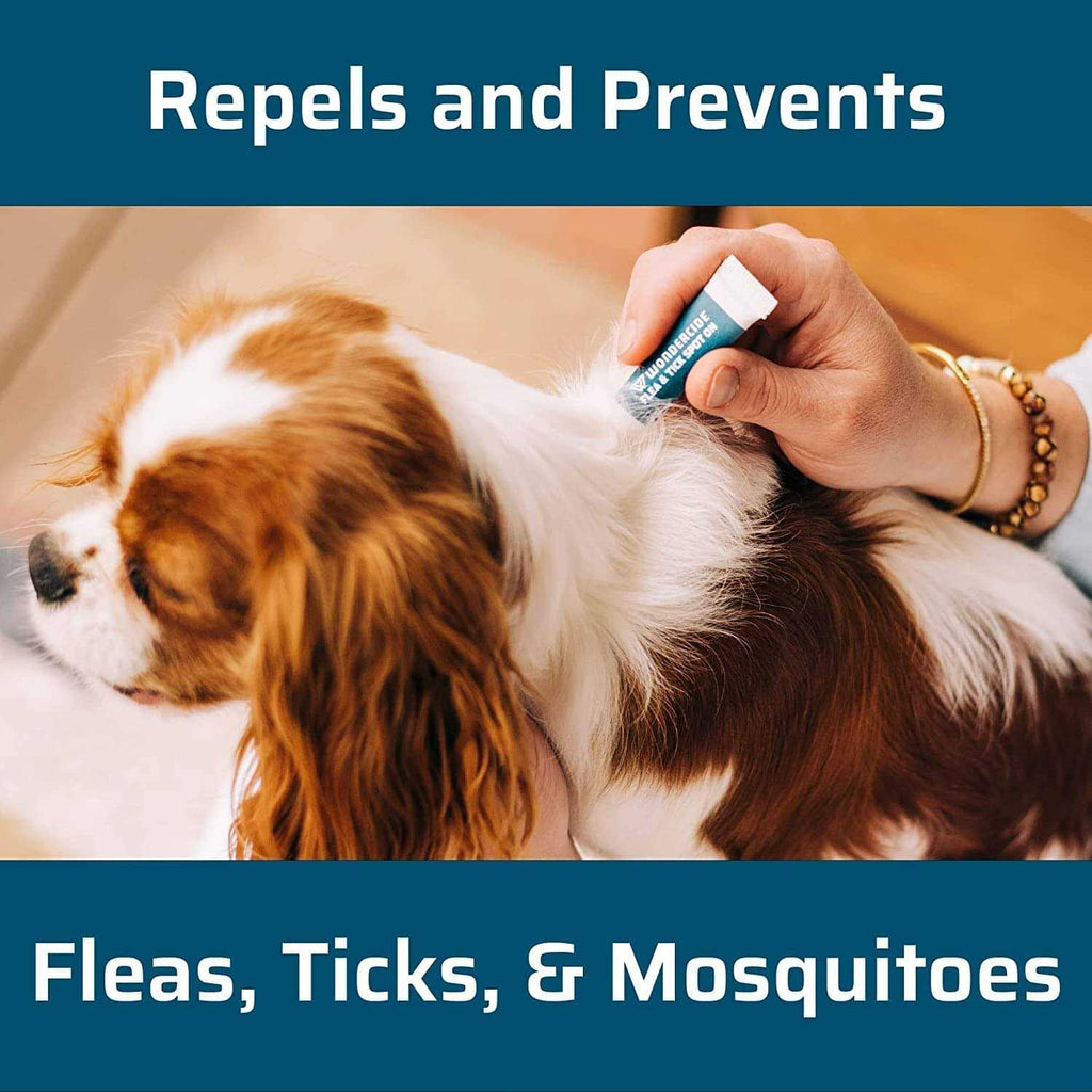Flea & Tick Spot On for Dogs I31032