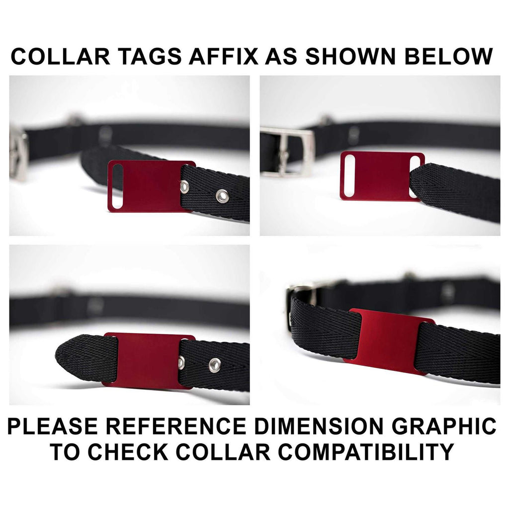 Slide-On Pet ID Tag C747530