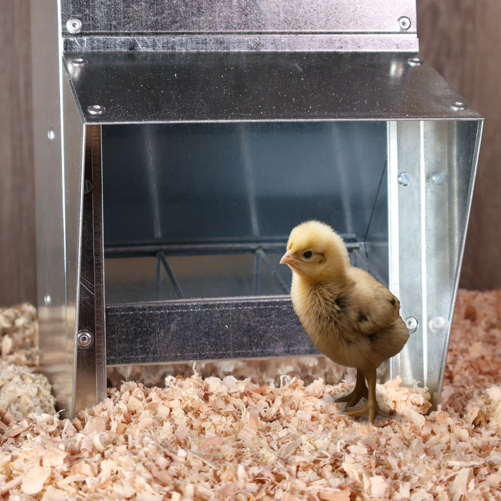 Galvanized Chicken Feeder P26971