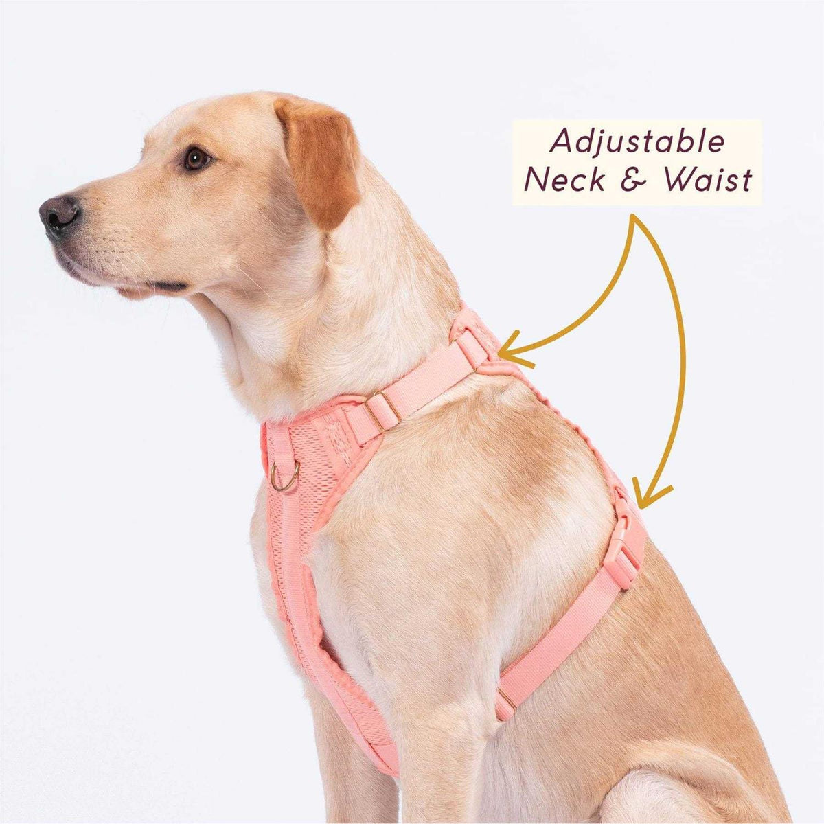 Huggie Harness J49006