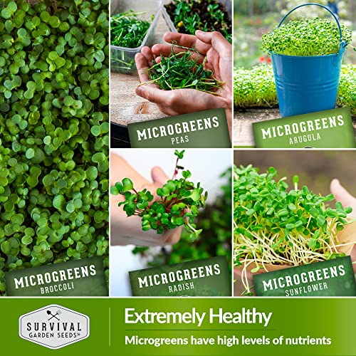 Microgreens 10 Pack Seeds E134794