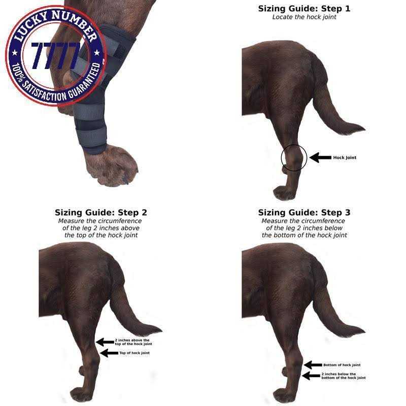Dog Rear Leg Hock Joint Compression Wrap I27342
