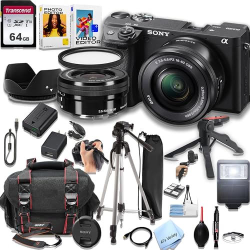 Black Mirrorless Camera with 16-50mm Lens Z891394