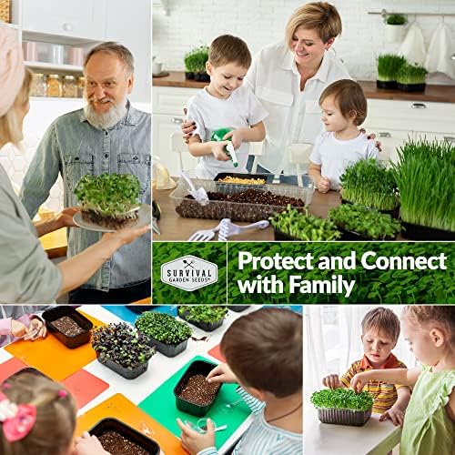 Microgreens 10 Pack Seeds E134794