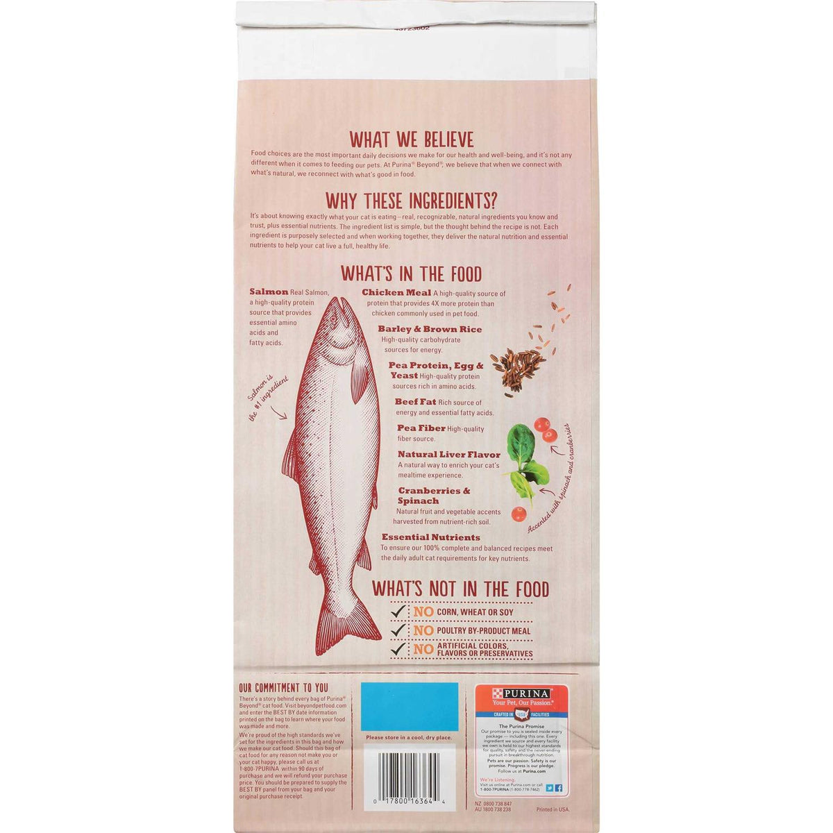 Cat Dry Food Z609359