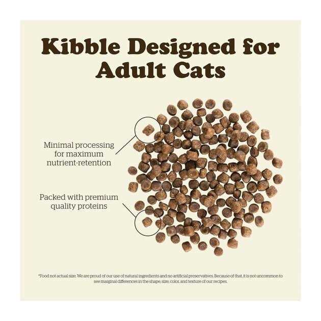 Grain-Free Adult Dry Cat Food T4963