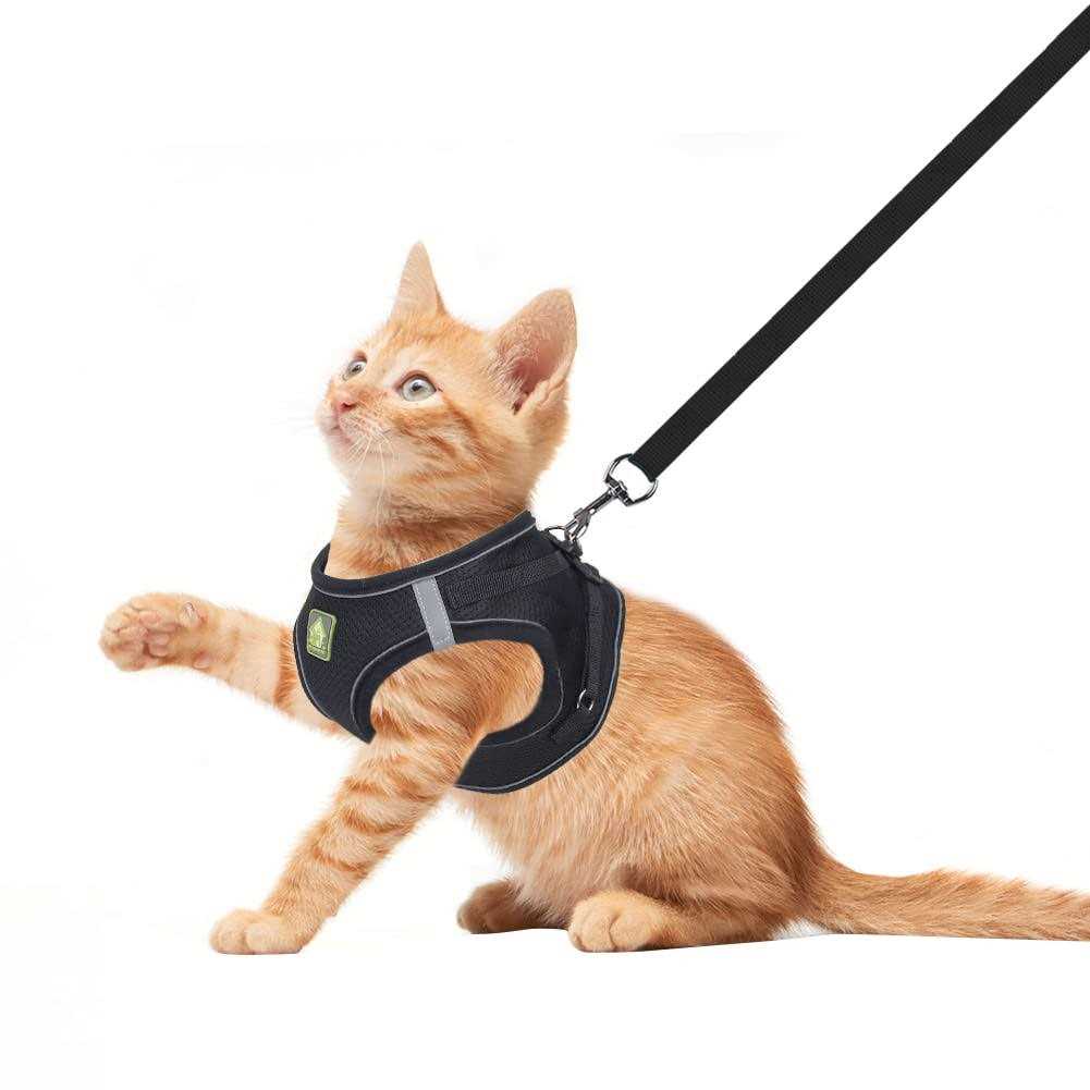 No-Pull Soft Mesh Reflective Adjustable Dog Harness and Leash Set Z189027