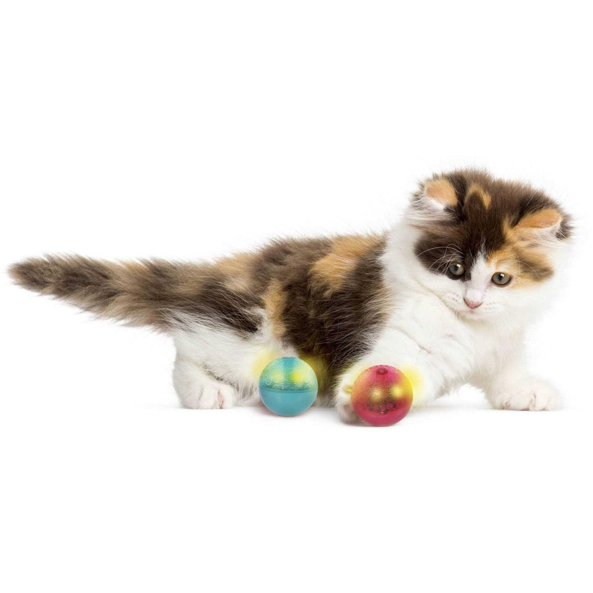 Cat Toy J690