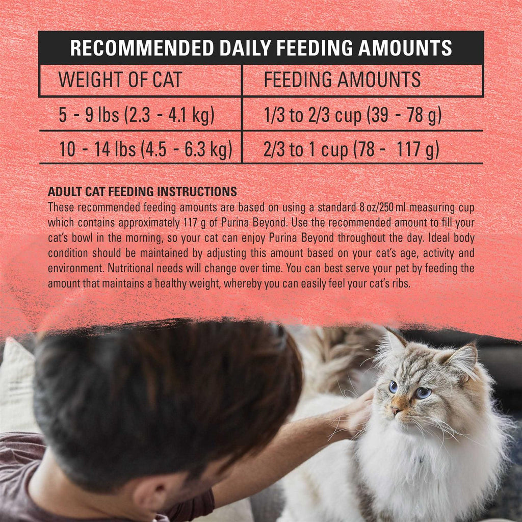 Cat Dry Food Z609359