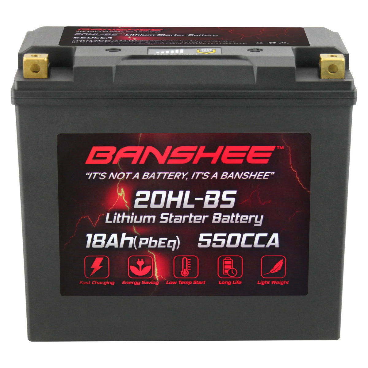 12V 18Ah 550CCA LiFePO4 Lithium Motorcycle Battery Y390853