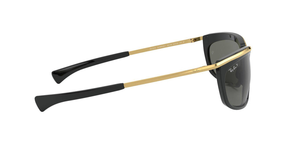 Black Polarized Sunglasses V6843
