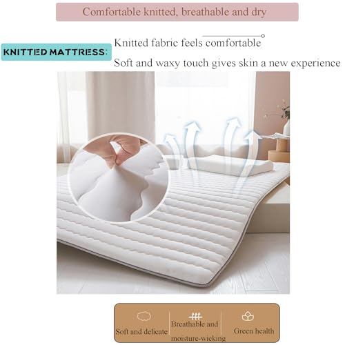 White King Foldable Floor Mattress Z186926