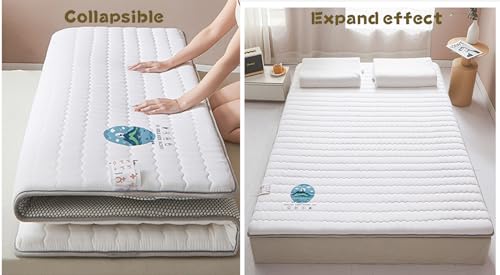 White King Foldable Floor Mattress Z186926