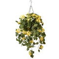 Hanging Flowering Plant in Basket U989083