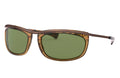 Black Polarized Sunglasses V6843