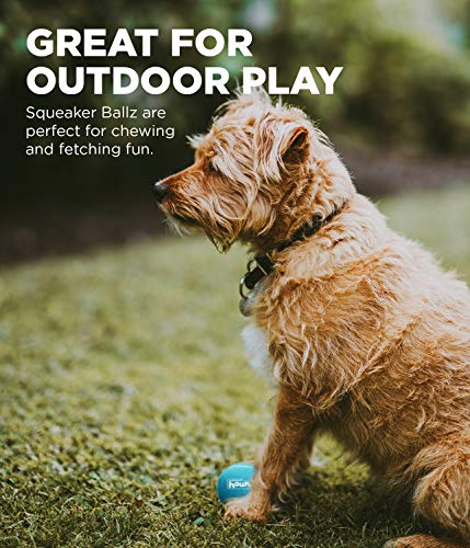 Dog Tennis Ball Launcher A250540