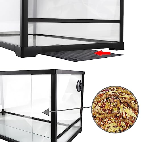 24 x 18 x 18 Inches Glass Terrarium X764