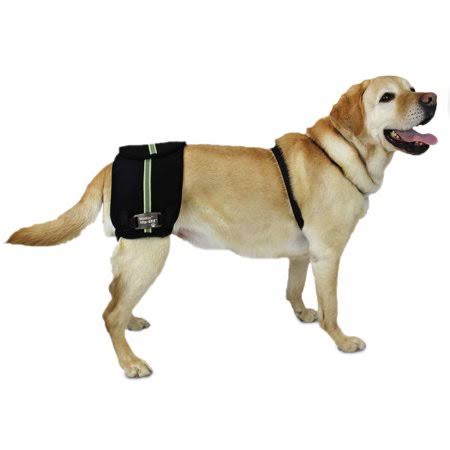 Medium Dog Brace and Support System X124946