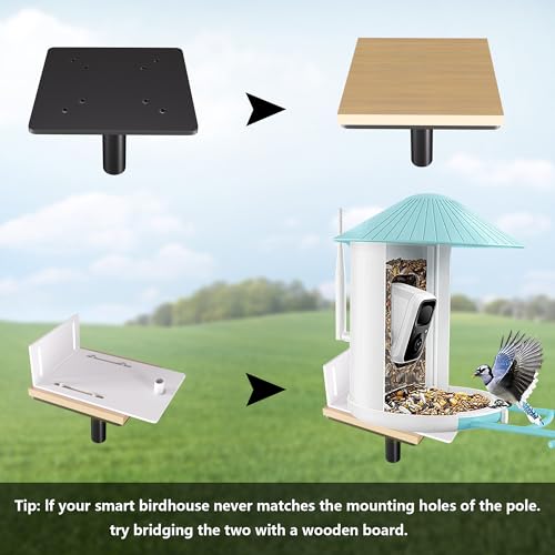 79 Inch Heavy Duty Bird Feeder Pole Kit with 5 Base Prongs Z5897