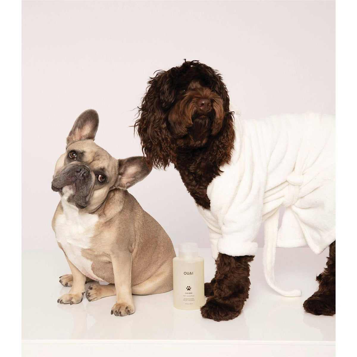 Pet Shampoo J24652