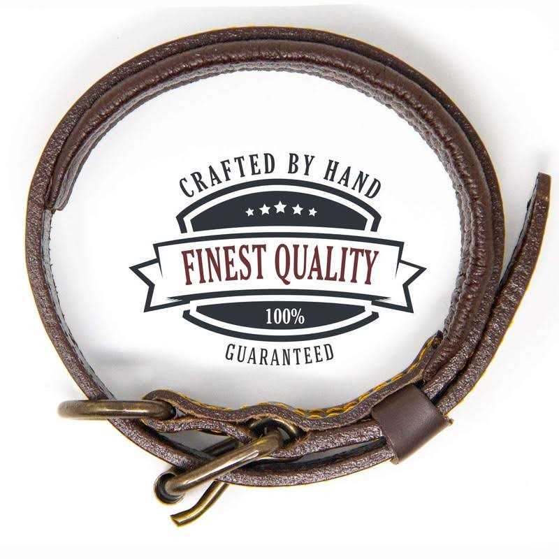 Padded Full Grain Genuine Leather Dog Collar T32856