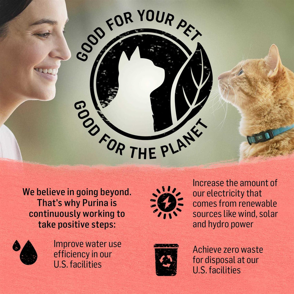 Cat Dry Food Z609359