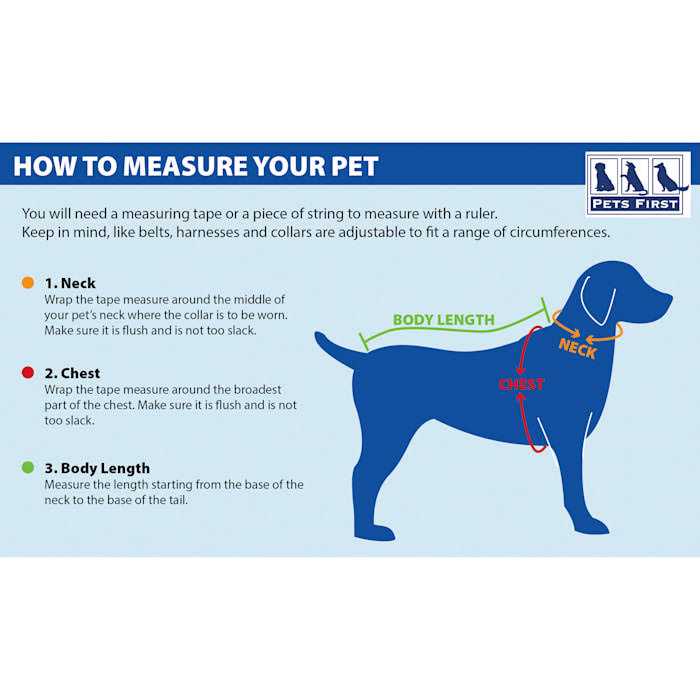 Pet Collar H71252