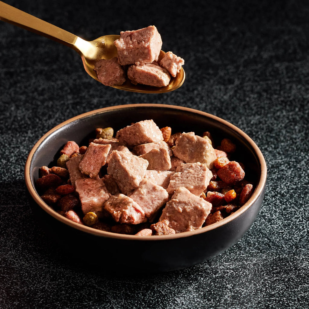 Filet Mignon & Porterhouse Steak Wet Dog Food 3.5 oz 36 ct E707