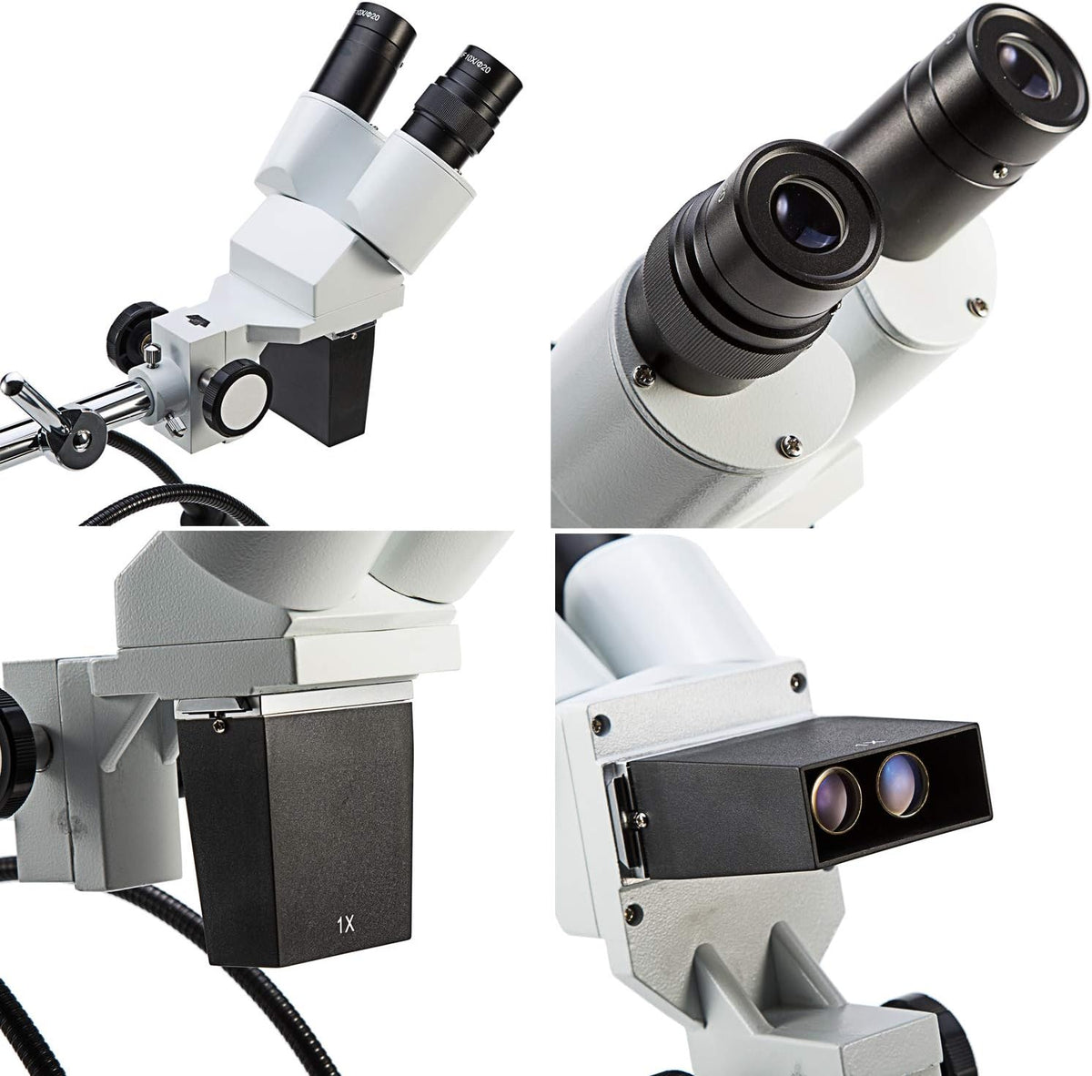 Professional Dissecting Binocular Stereo Microscope, WF10x WF20x Eyepieces, 10X 20X Magnification, 1X Objective, LED Lighting, Boom-Arm Stand K694882