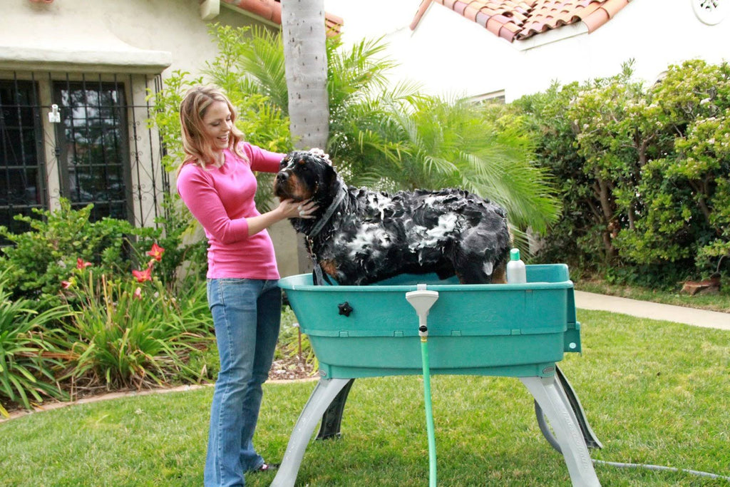 Elevated Pet Bathing Large D260624
