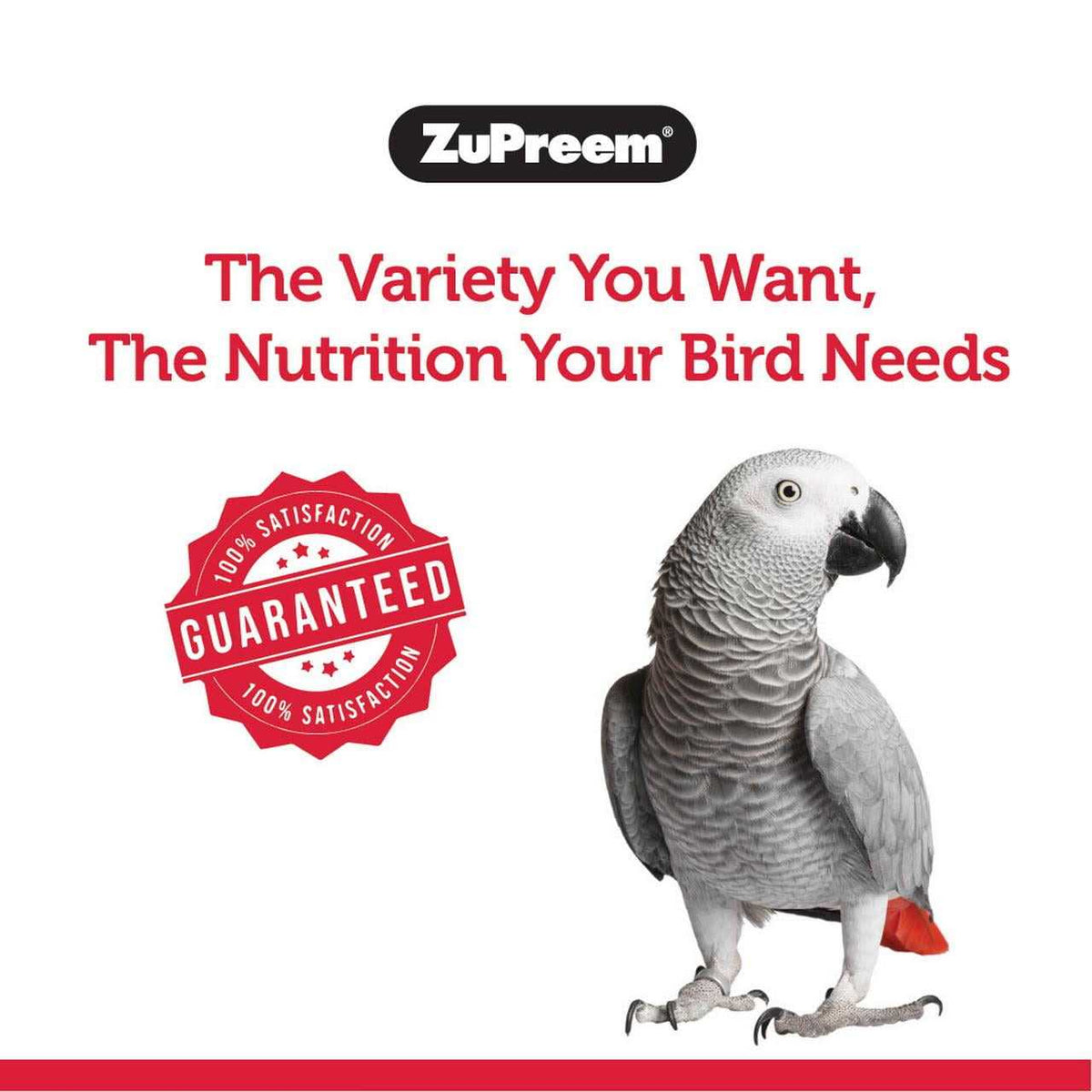 FruitBlend Flavor Bird Food Z639305
