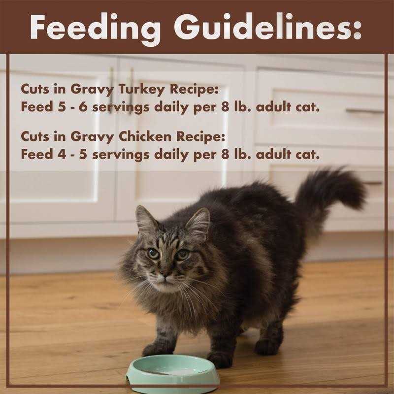 Grain Free Turkey Wet Cat Food Z54645