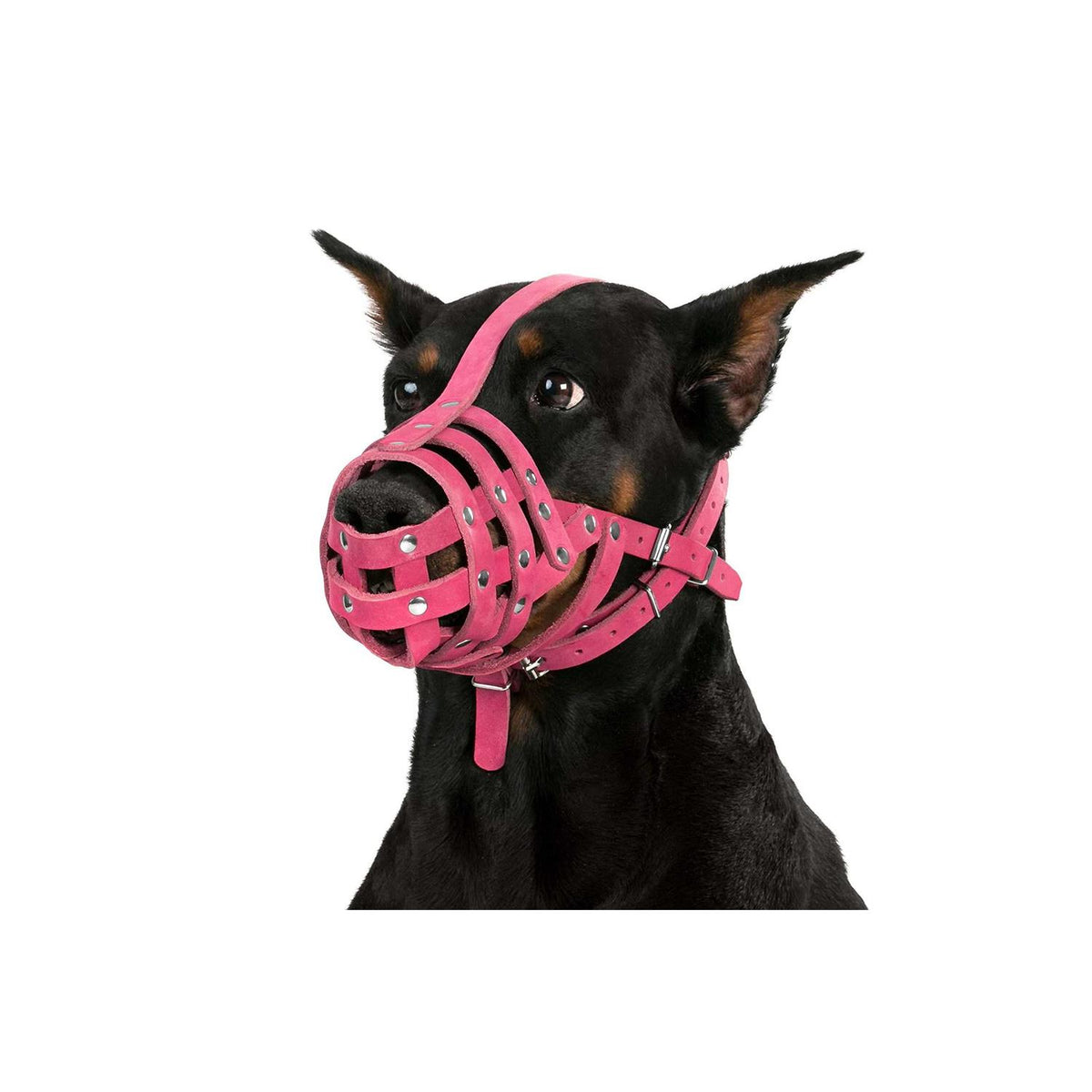 Leather Dog Muzzle Medium Large Breeds G734