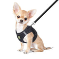 No-Pull Soft Mesh Reflective Adjustable Dog Harness and Leash Set Z189027