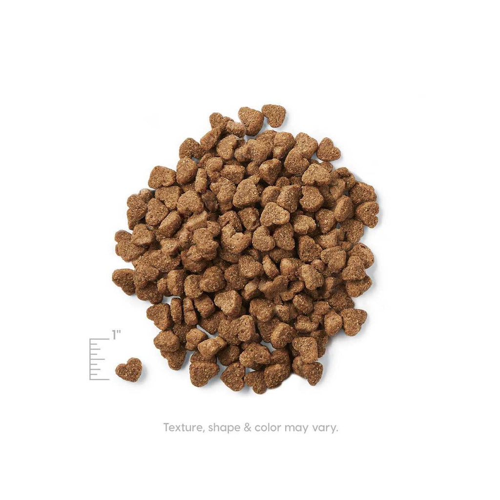 Grain Free Dry Puppy Food D643120
